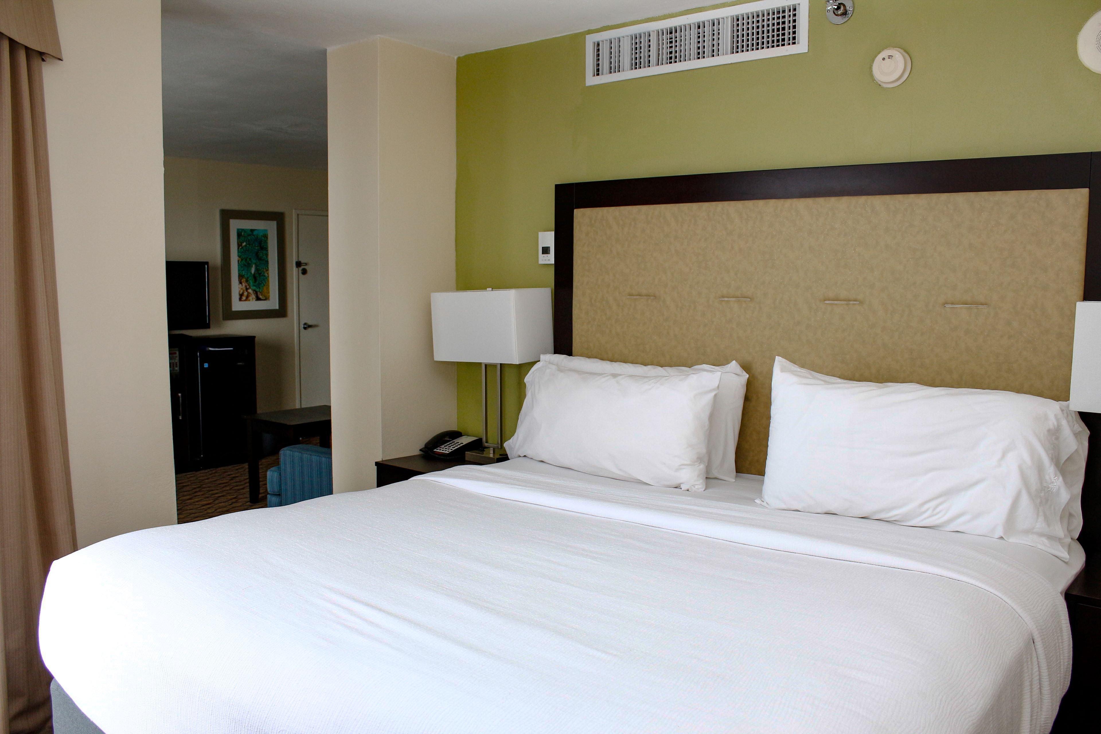 Holiday Inn Corpus Christi Downtown Marina By Ihg Eksteriør billede
