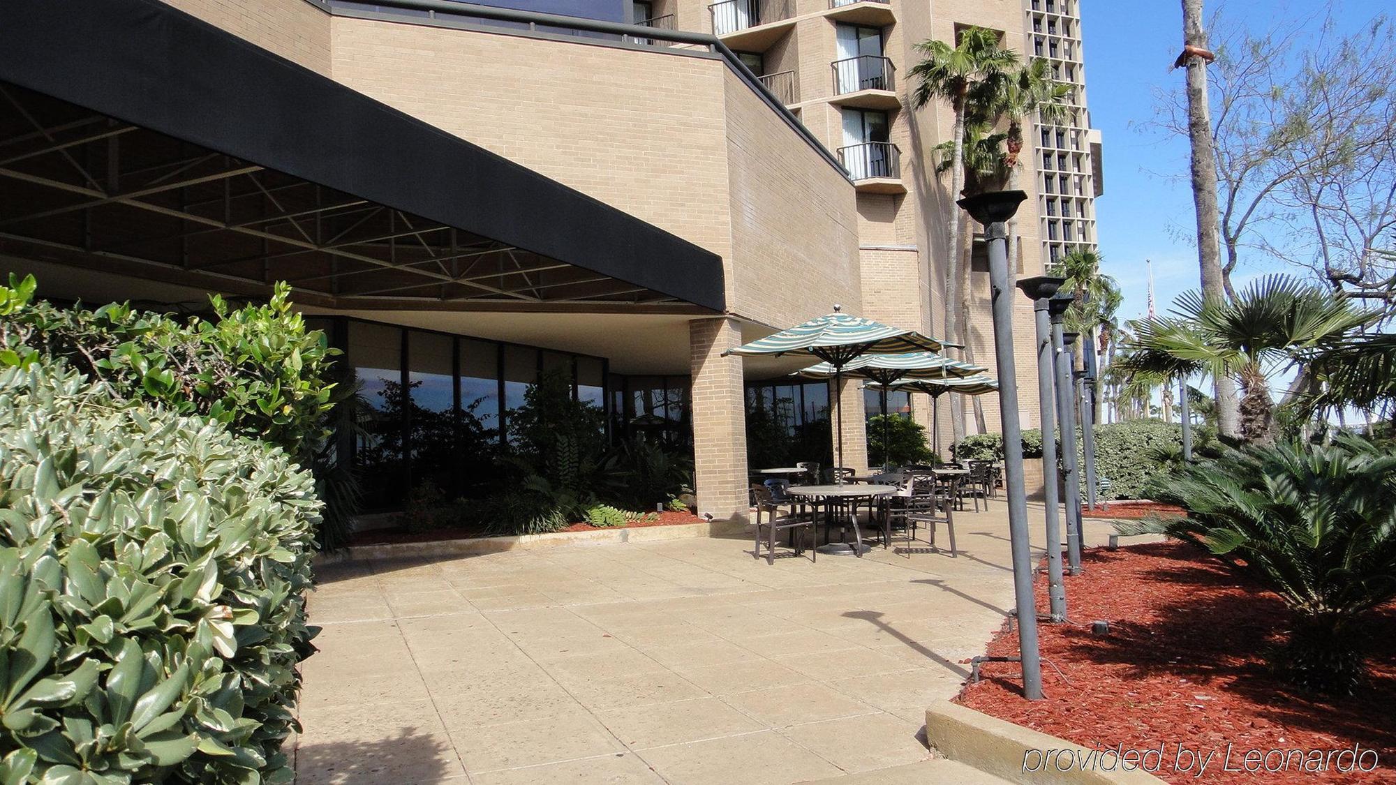 Holiday Inn Corpus Christi Downtown Marina By Ihg Eksteriør billede